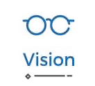 Leonine_webdevolepment_company_vision