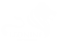 Leonine_webdevolepment_company_logo