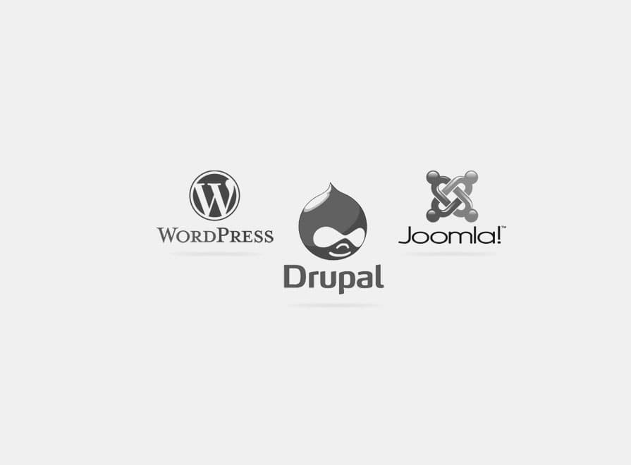 Leonine_webdevolepment_company_webddevelopement